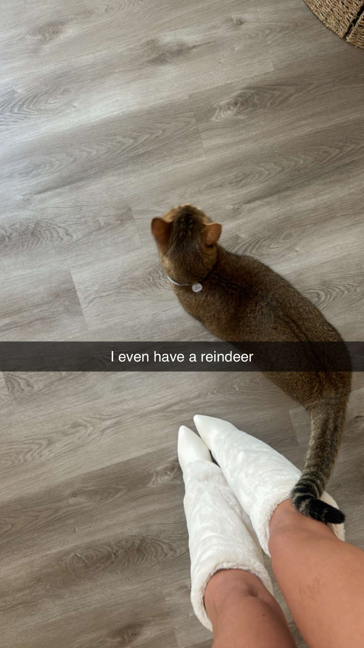 jadelynmusic snapchat image archive image