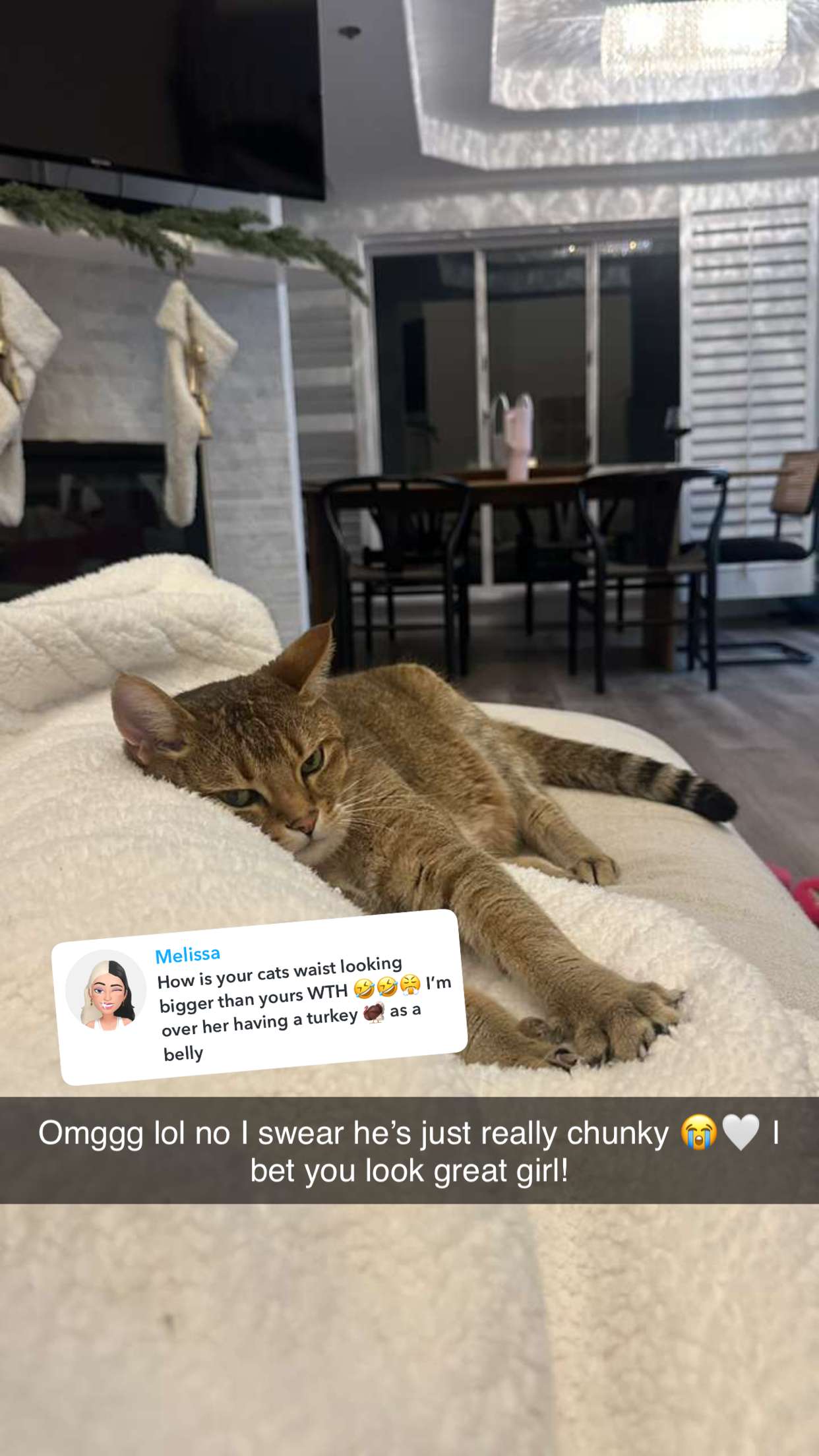 jadelynmusic snapchat image archive image