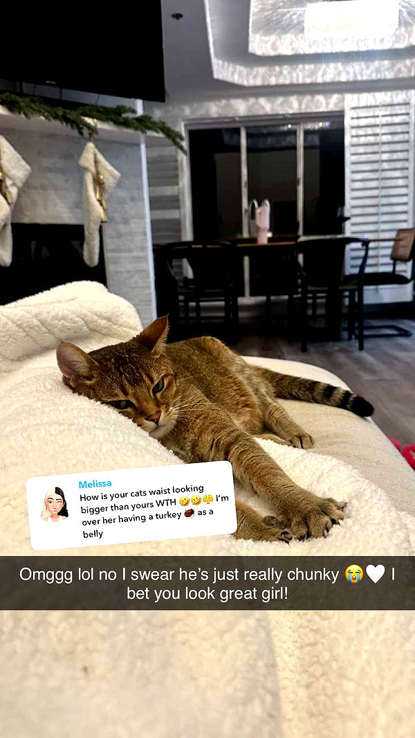 jadelynmusic image ~ Altpins