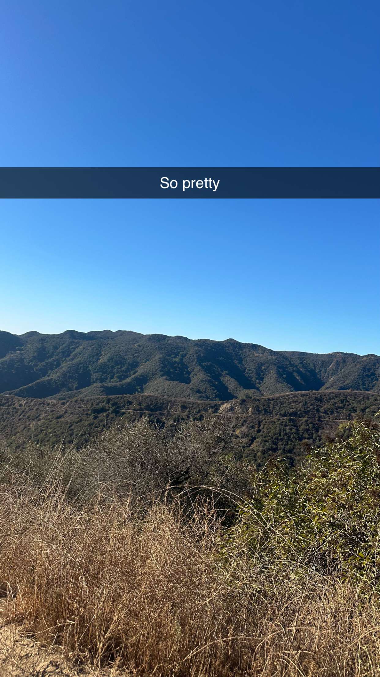 jadelynmusic snapchat image archive image