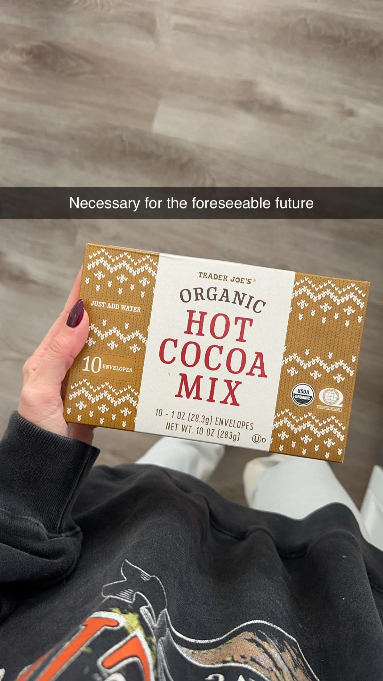 jadelynmusic snapchat image archive image