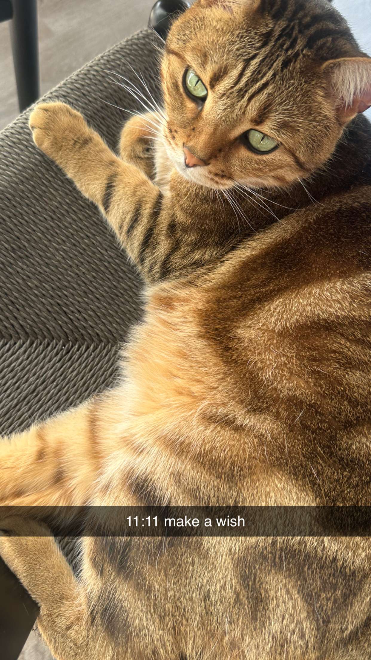 jadelynmusic snapchat image archive image