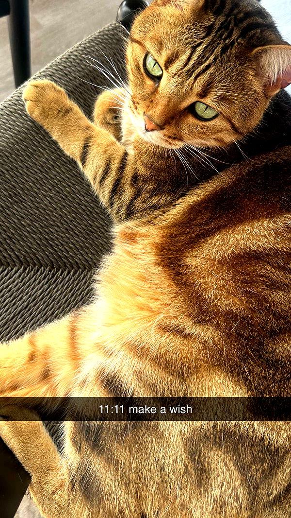 jadelynmusic image ~ Altpins