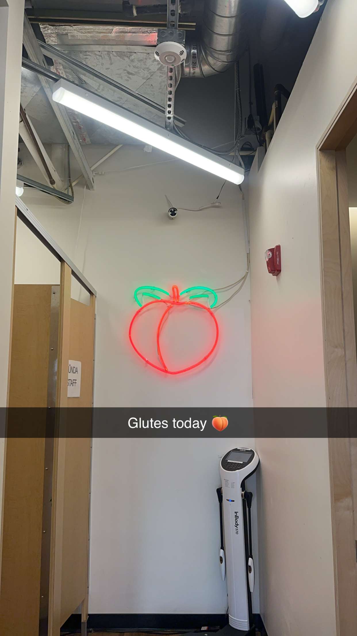 jadelynmusic snapchat image archive image