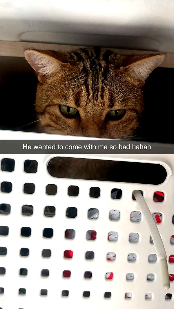 jadelynmusic image ~ Altpins