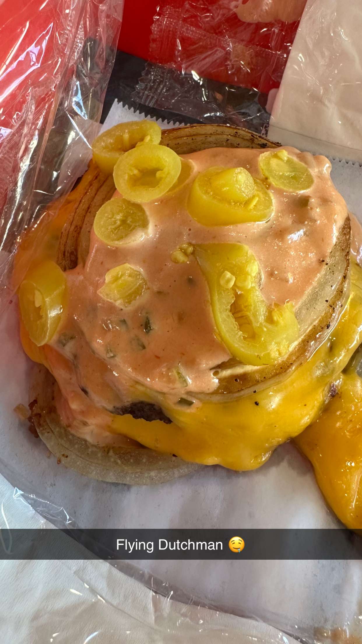 jadelynmusic snapchat image archive image