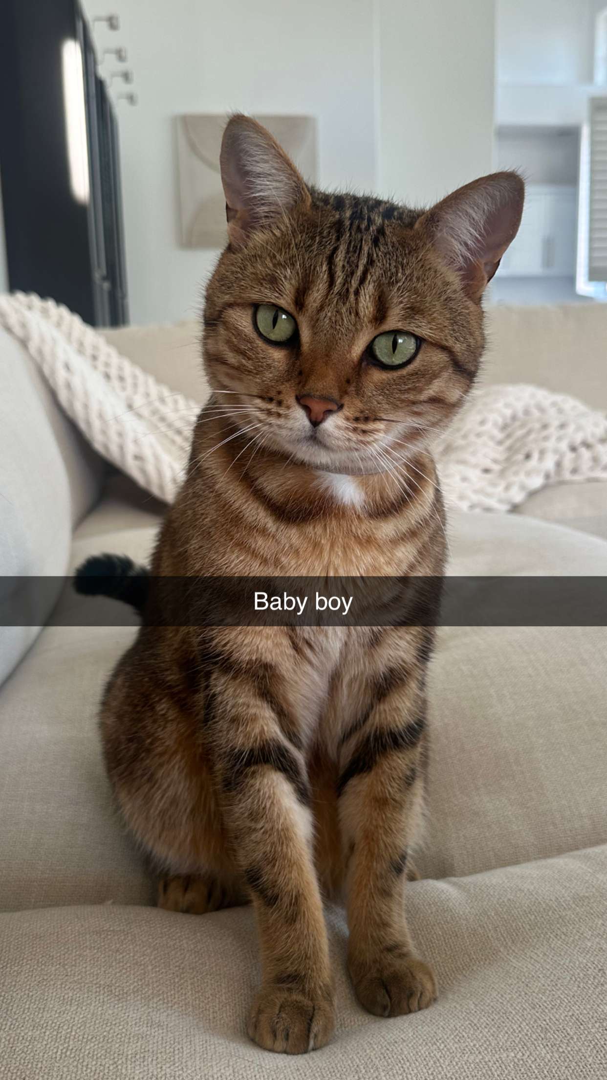 jadelynmusic snapchat image archive image