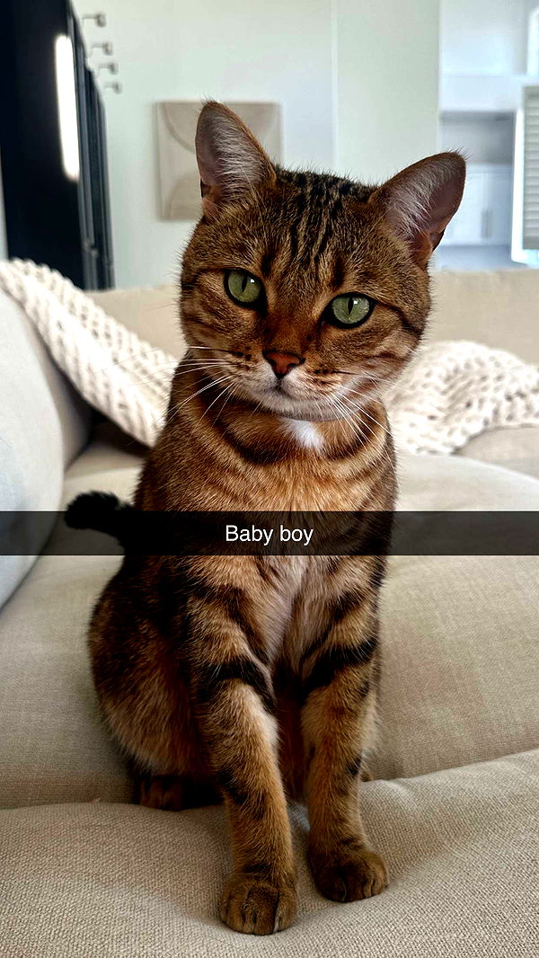 jadelynmusic image ~ Altpins