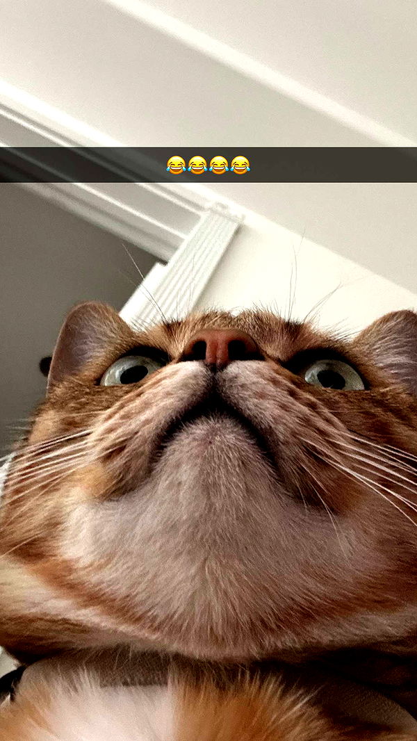 jadelynmusic image ~ Altpins