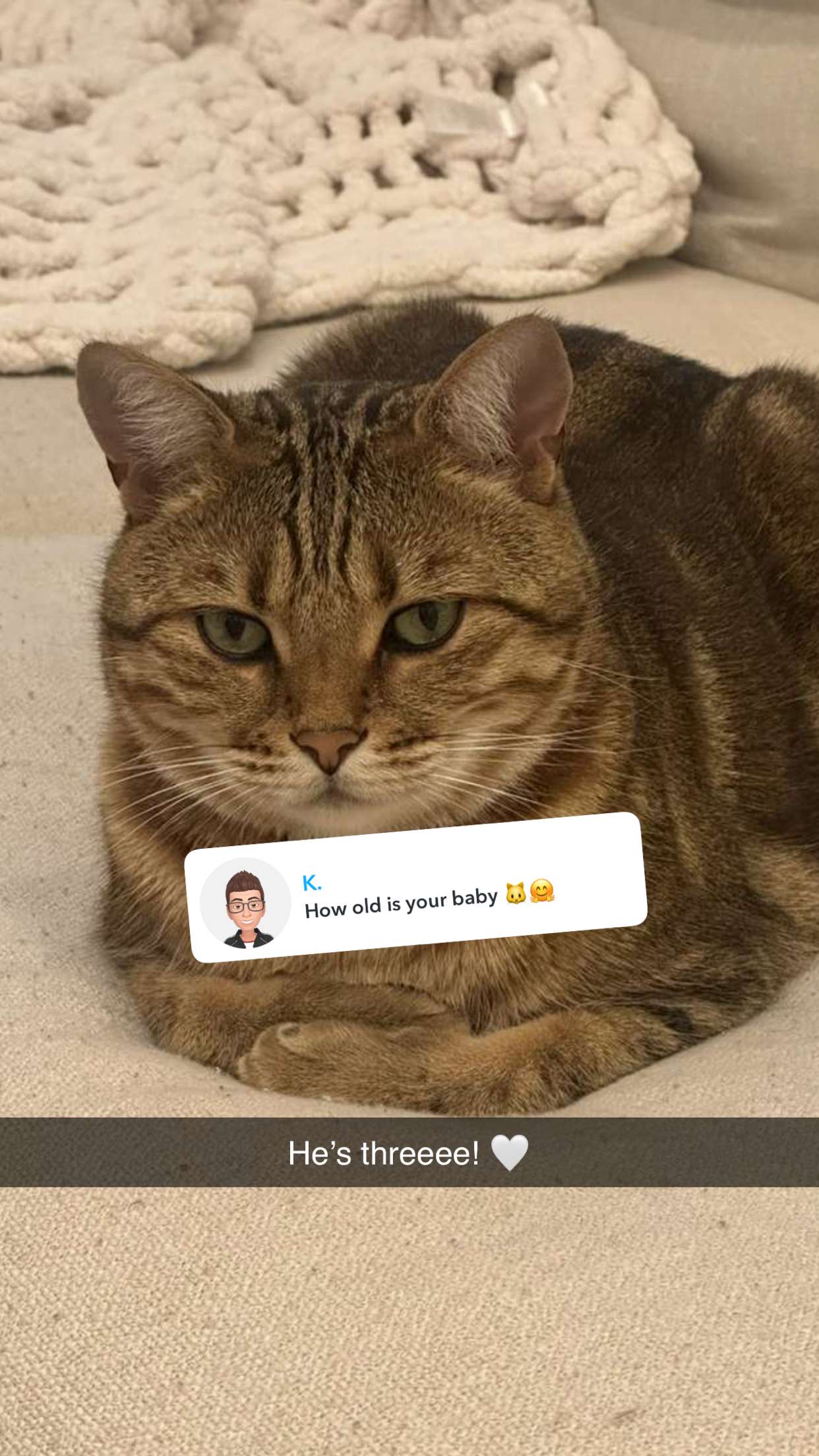 jadelynmusic snapchat image archive image