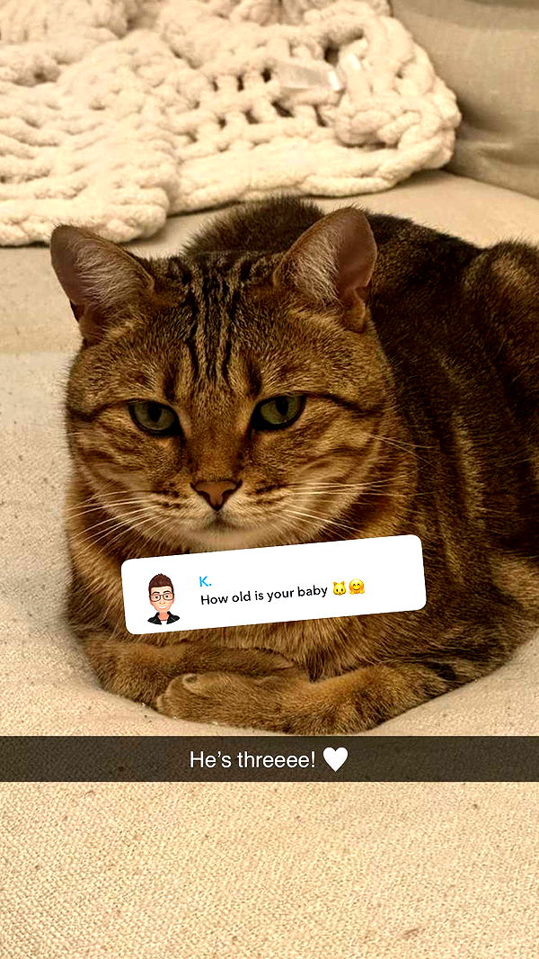 jadelynmusic image ~ Altpins