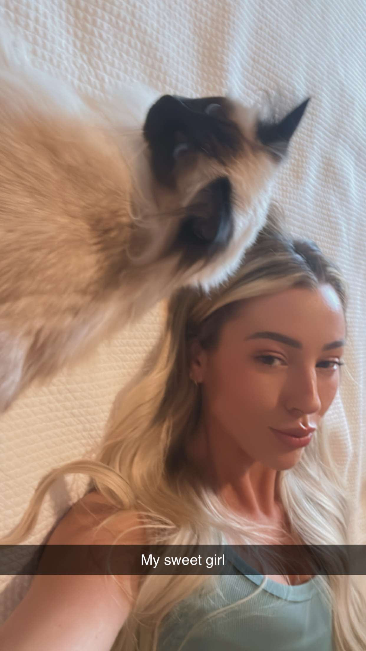 jadelynmusic snapchat image archive image