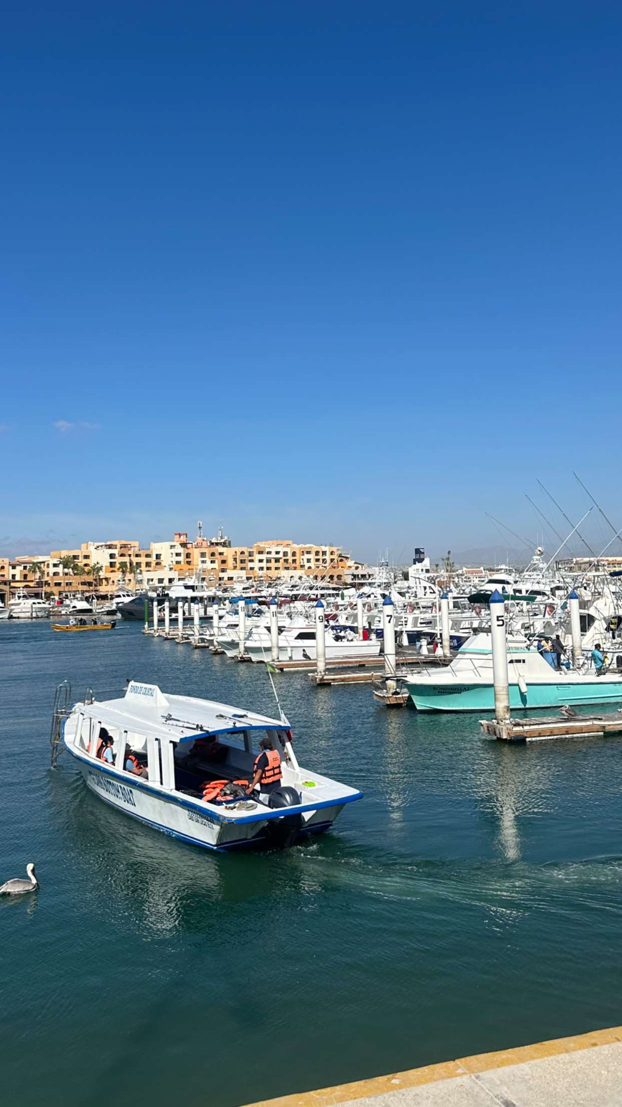 jadelynmusic snapchat image archive image