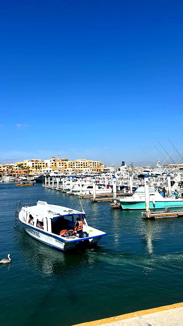 jadelynmusic image ~ Altpins