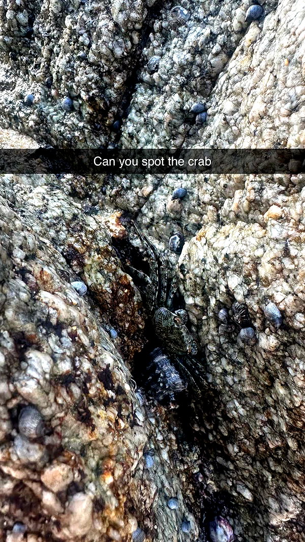 jadelynmusic snapchat image archive image