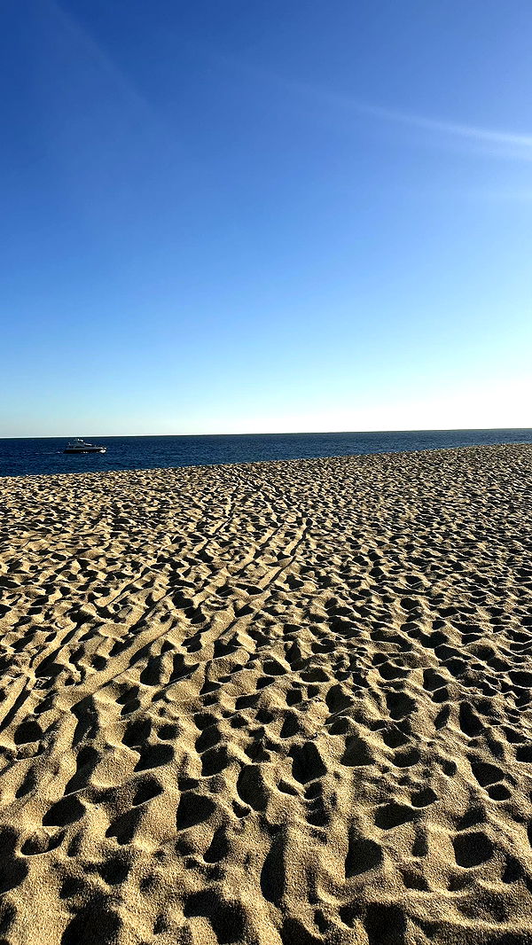 jadelynmusic image ~ Altpins