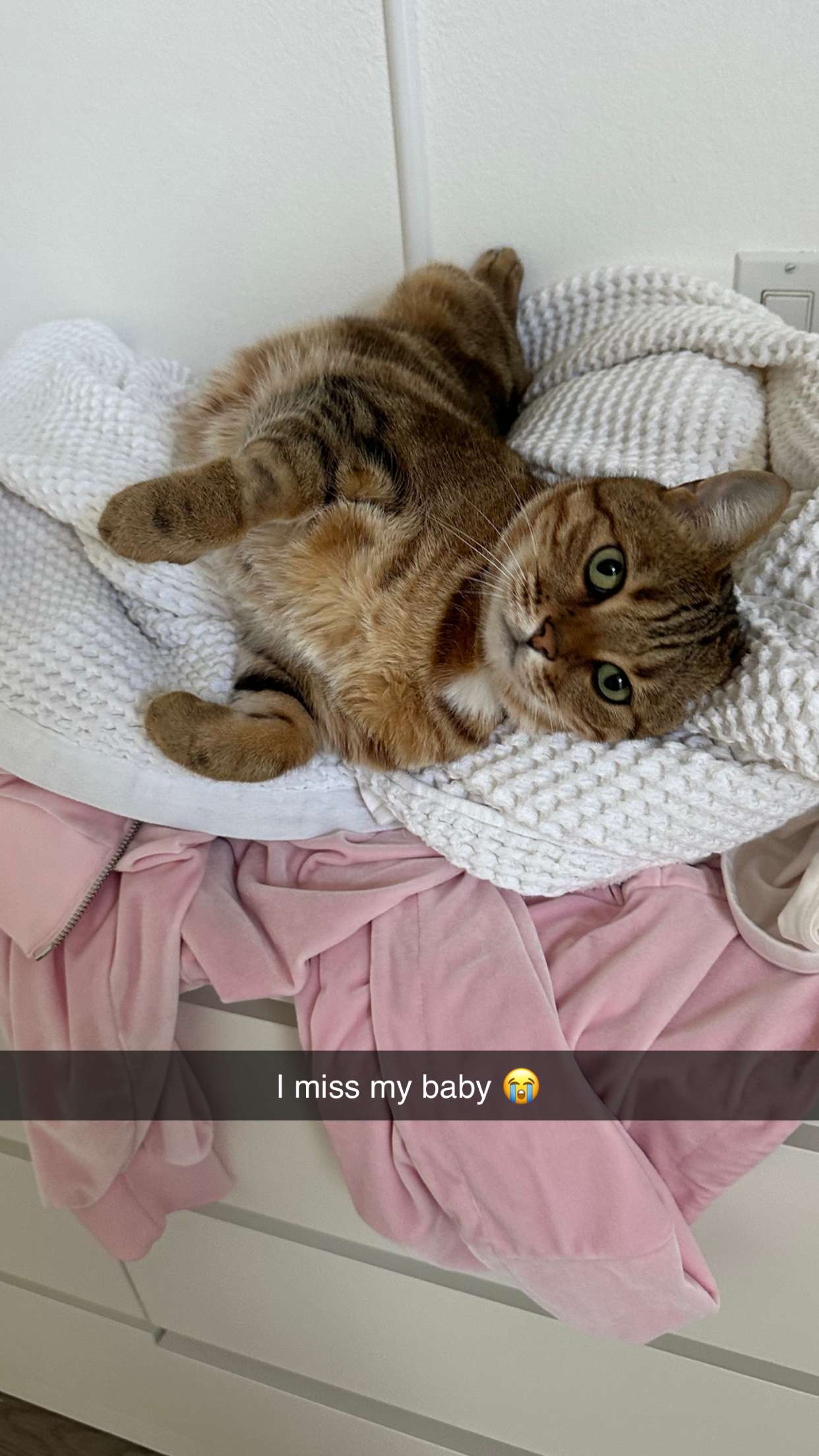 jadelynmusic snapchat image archive image