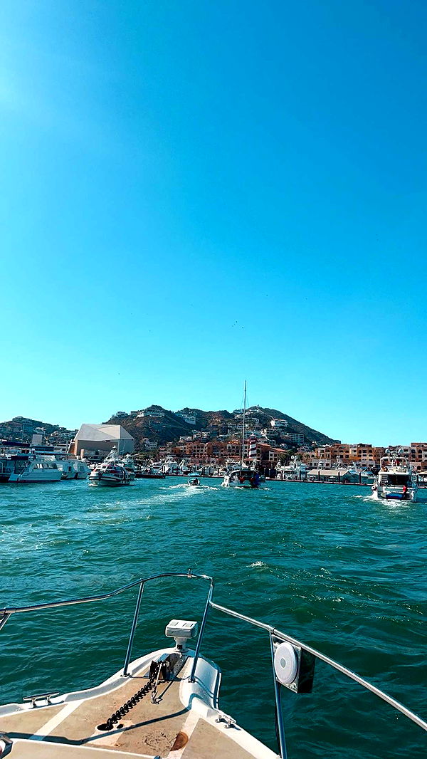 jadelynmusic image ~ Altpins