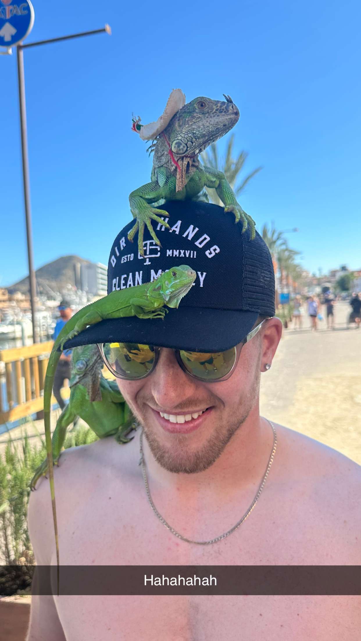 jadelynmusic snapchat image archive image