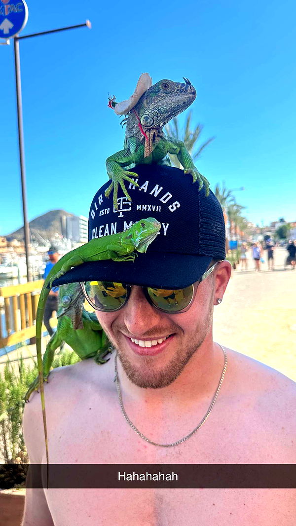 jadelynmusic image ~ Altpins