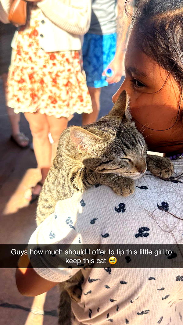 jadelynmusic image ~ Altpins