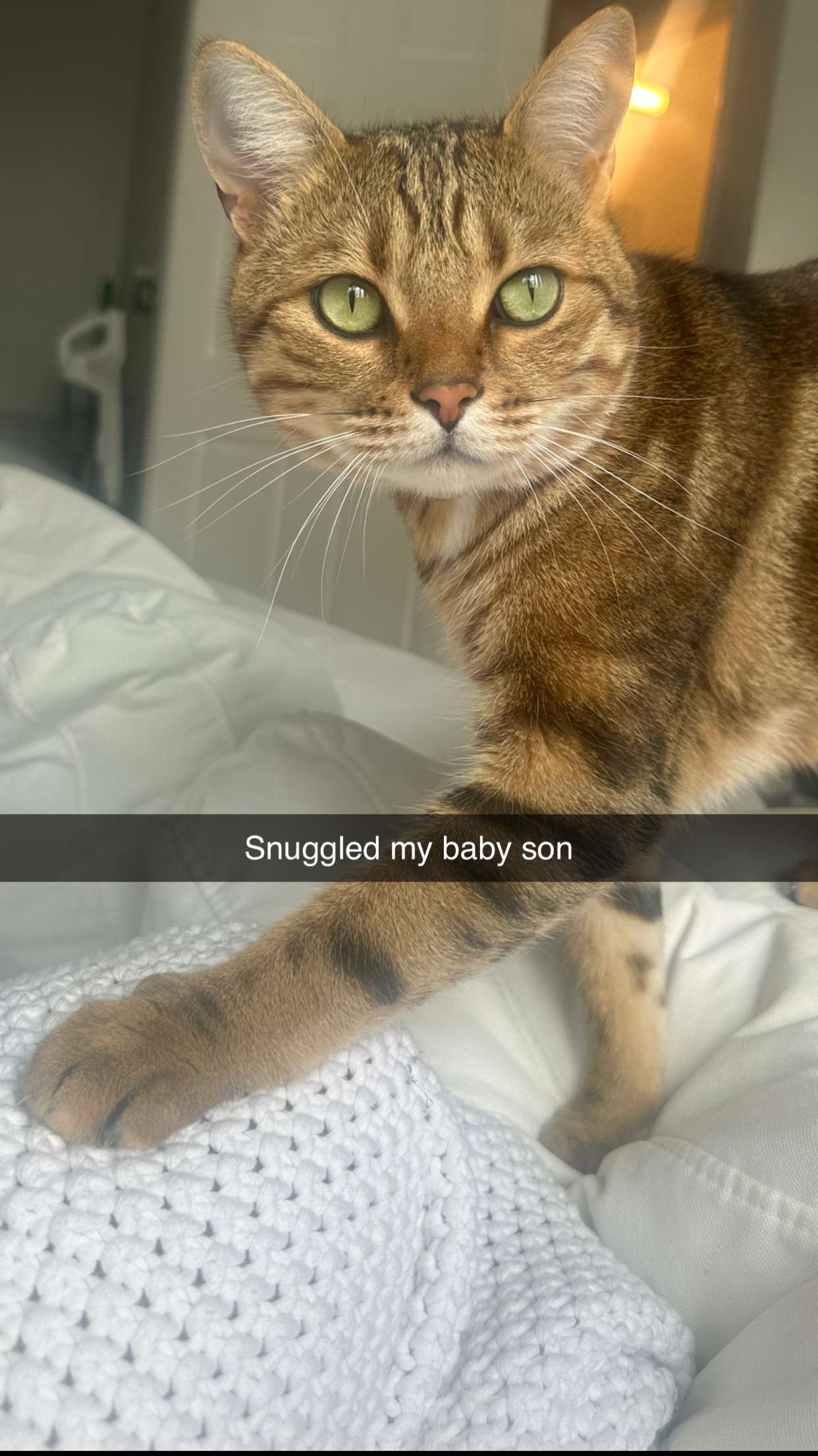 jadelynmusic snapchat image archive image