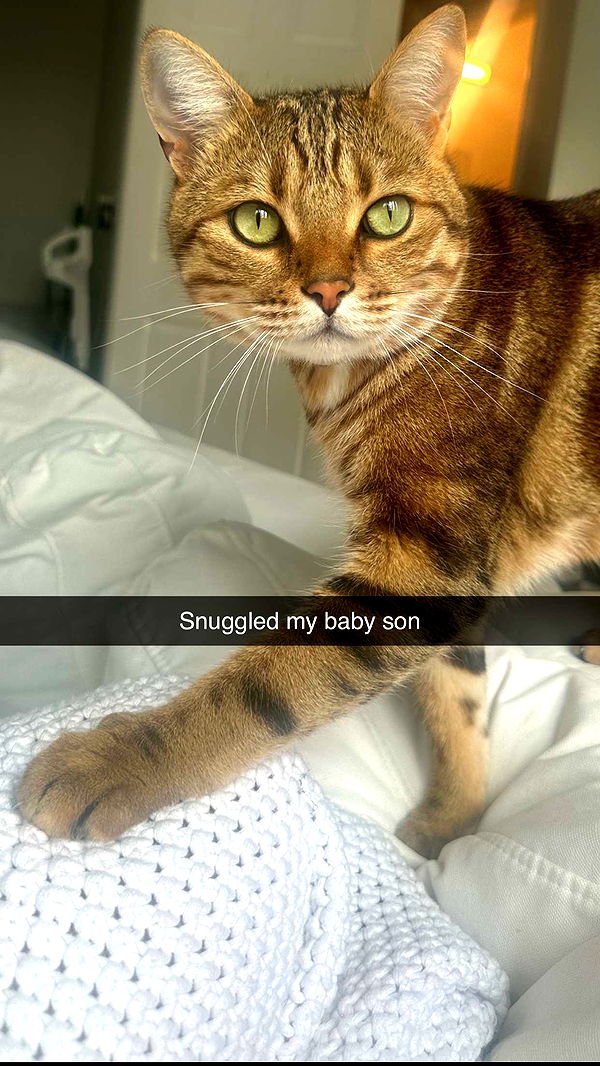 jadelynmusic image ~ Altpins