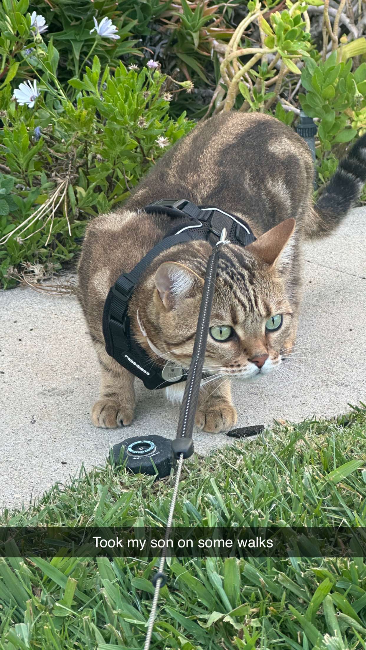 jadelynmusic snapchat image archive image