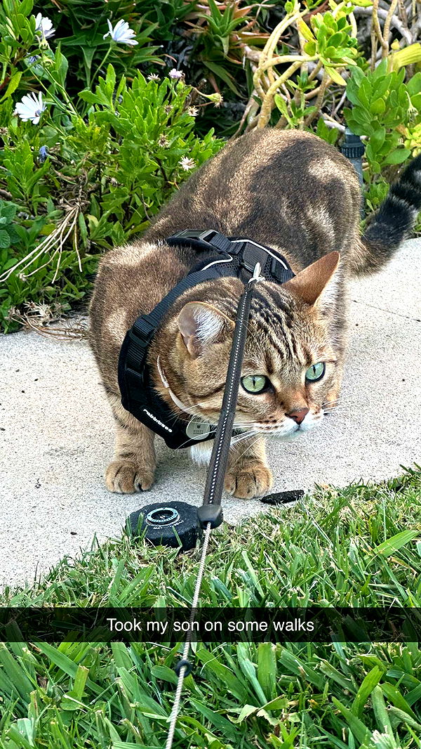 jadelynmusic image ~ Altpins