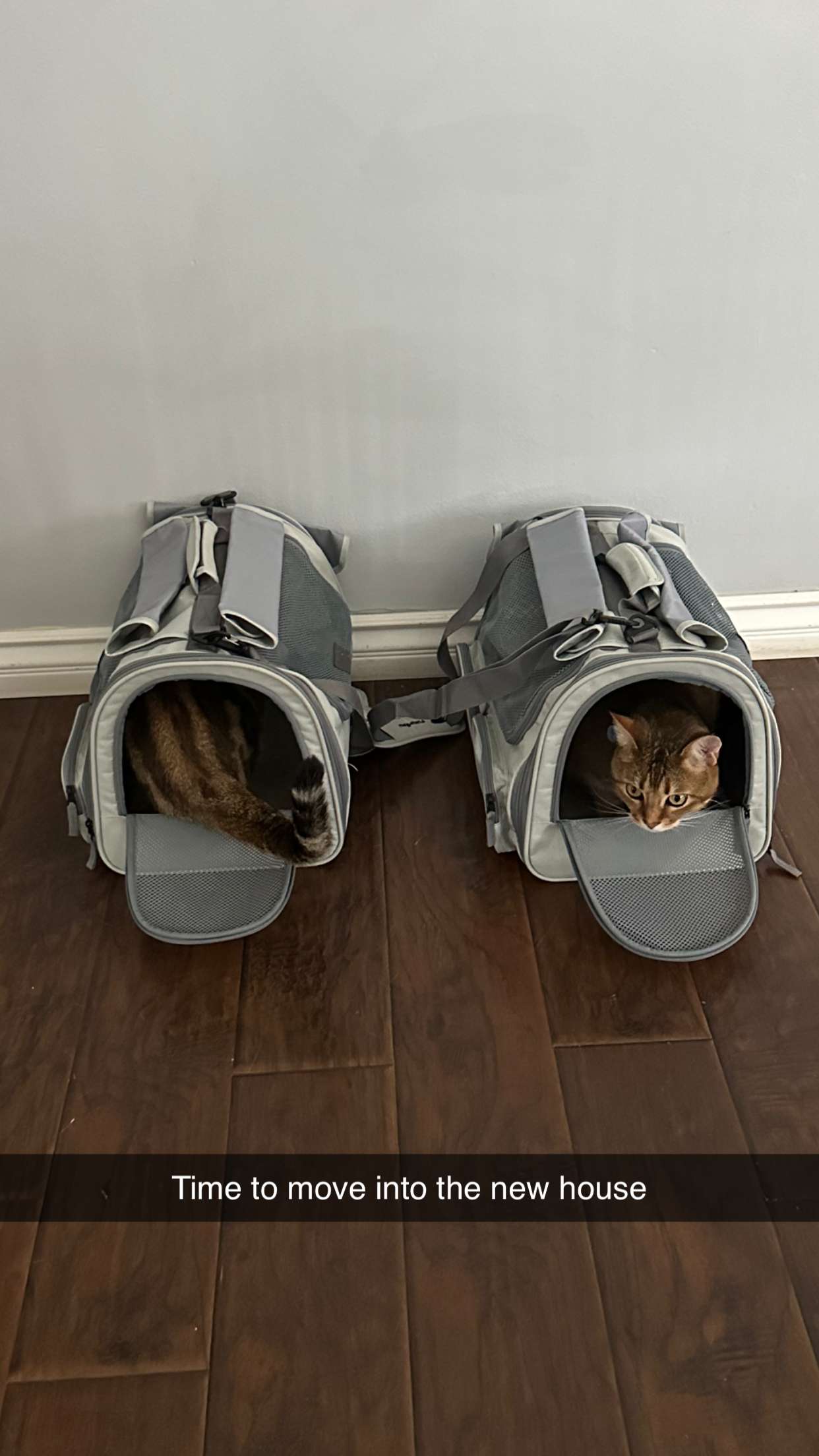 jadelynmusic snapchat image archive image