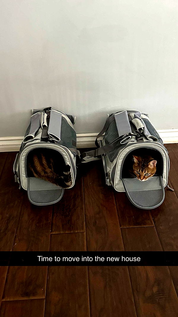 jadelynmusic image ~ Altpins