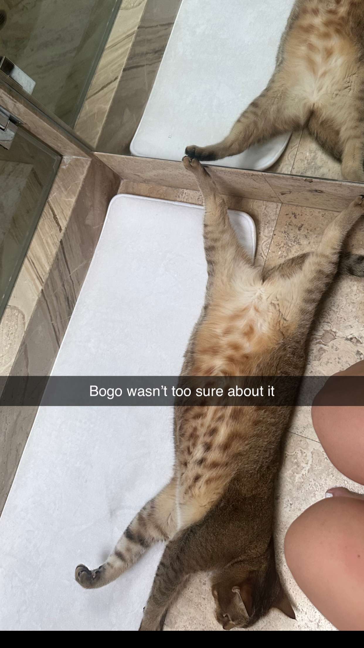 jadelynmusic snapchat image archive image