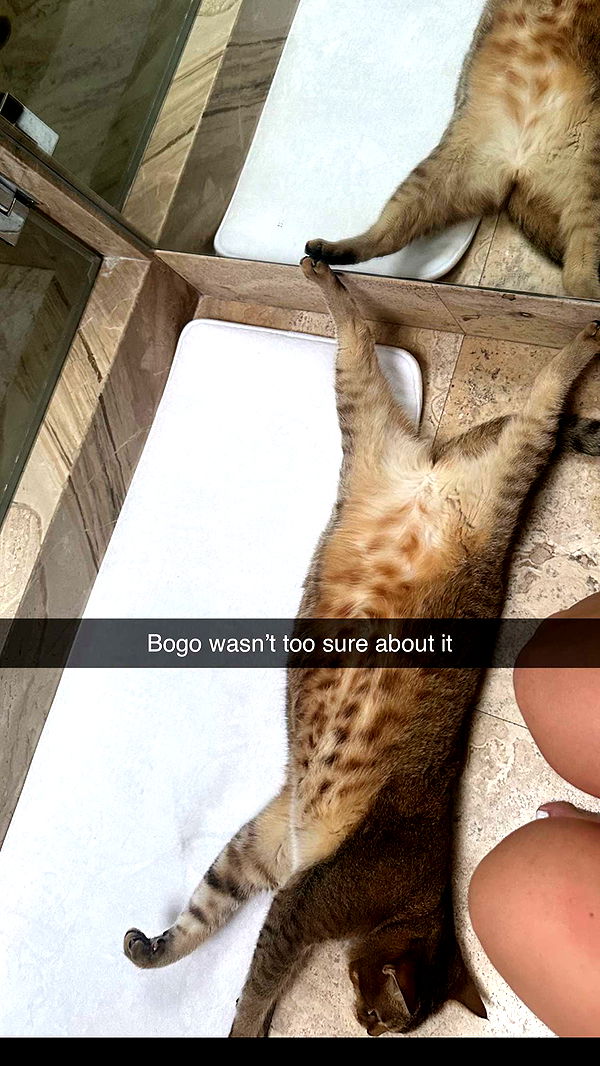 jadelynmusic image ~ Altpins