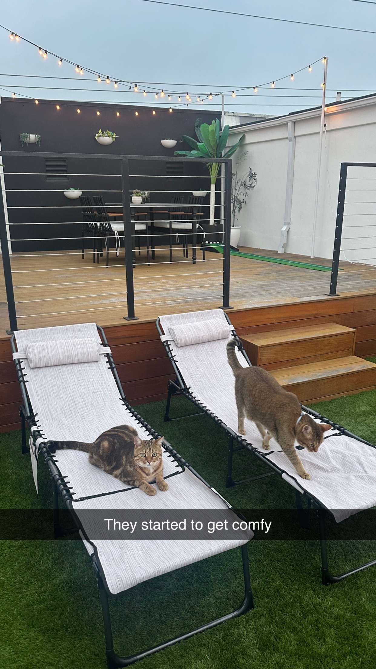 jadelynmusic snapchat image archive image