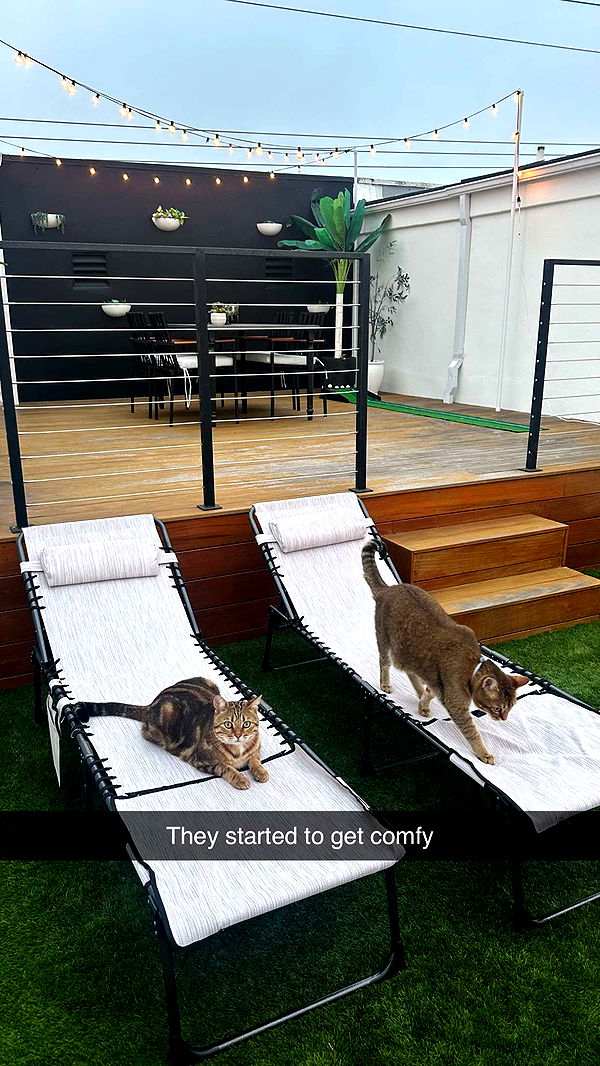 jadelynmusic image ~ Altpins