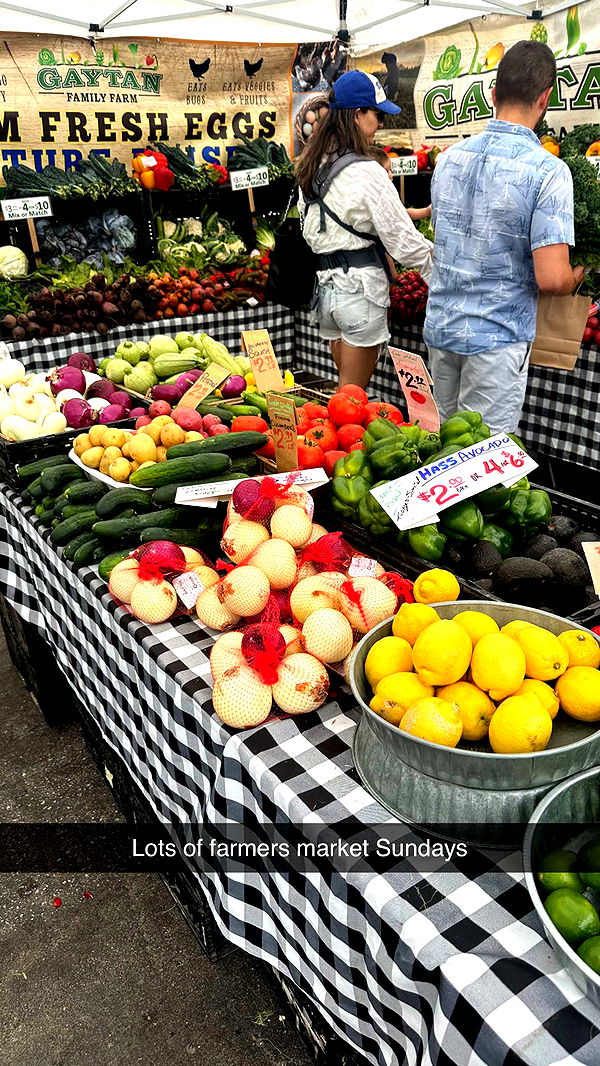 jadelynmusic image ~ Altpins