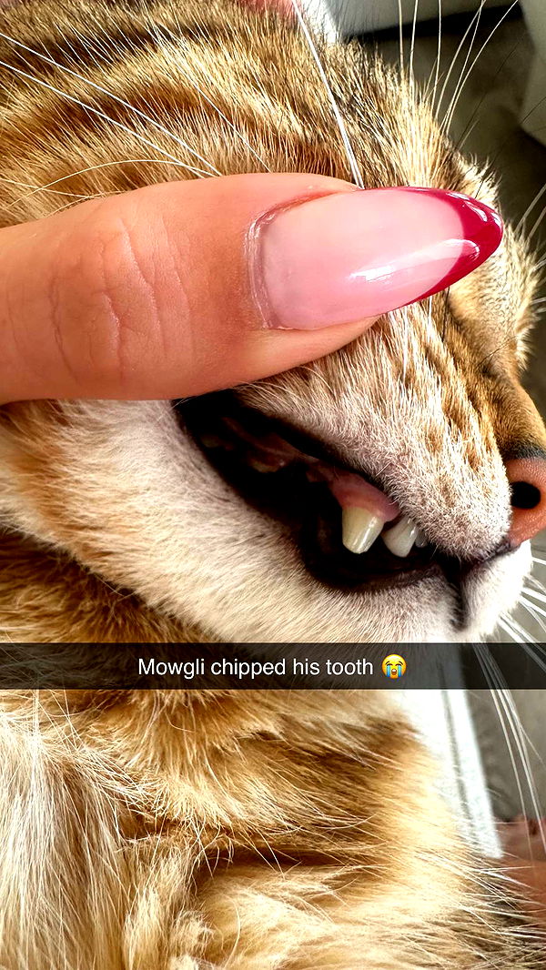 jadelynmusic image ~ Altpins