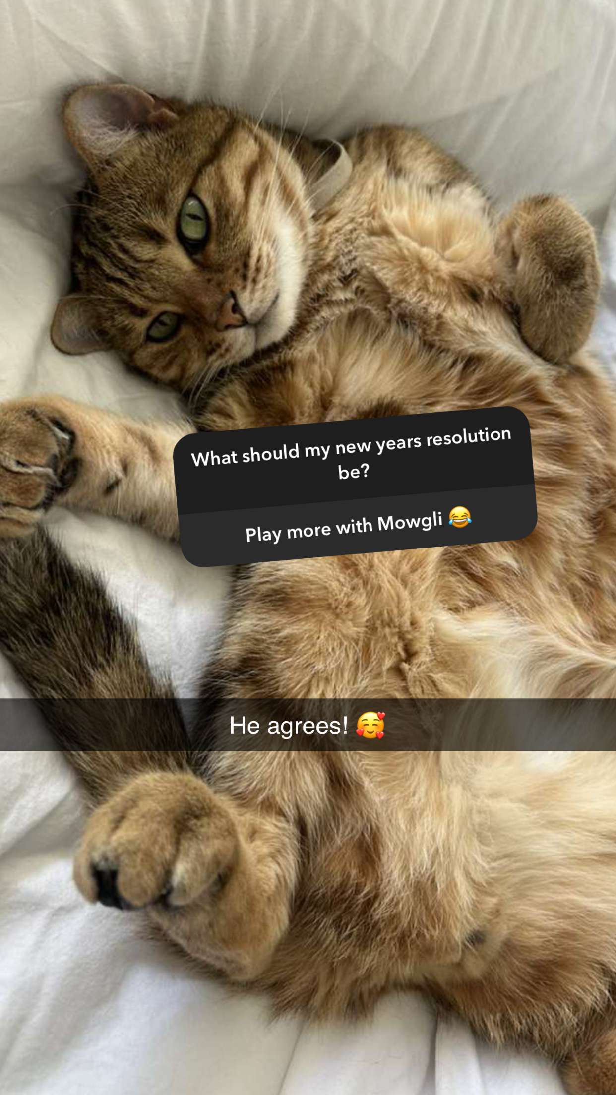 jadelynmusic snapchat image archive image