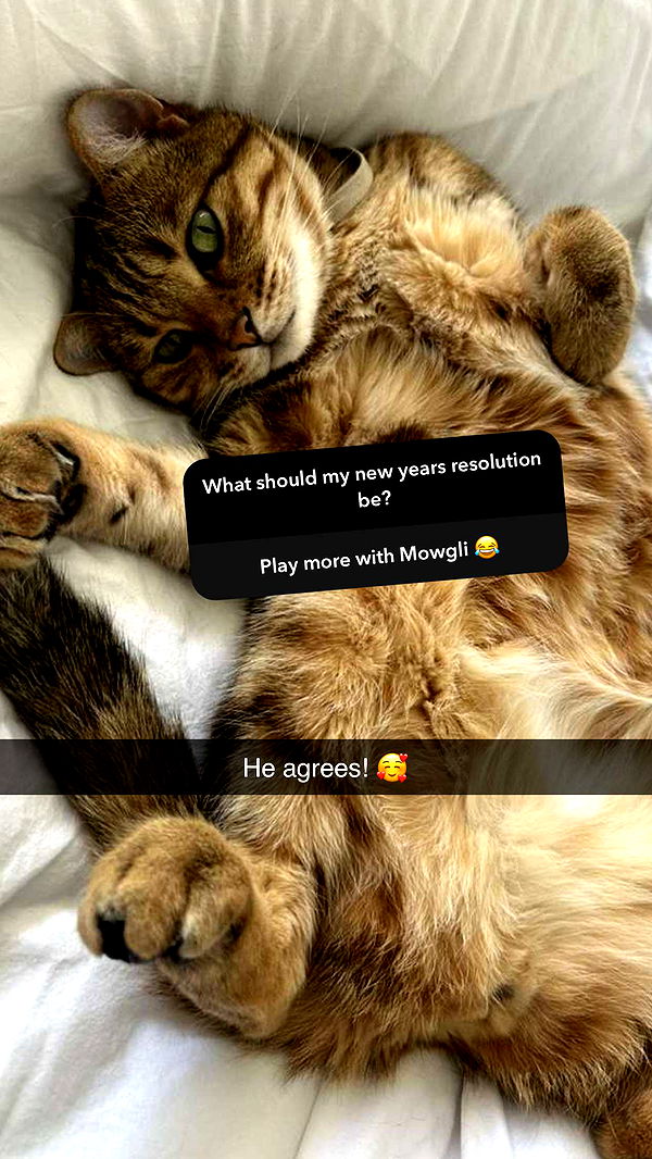 jadelynmusic image ~ Altpins