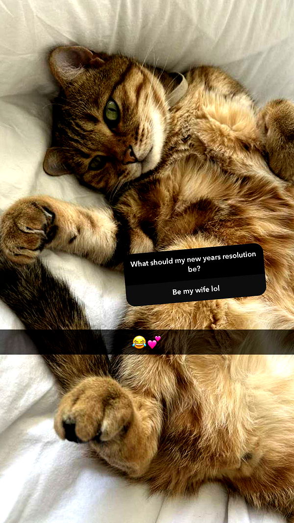 jadelynmusic image ~ Altpins