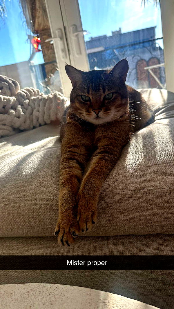 jadelynmusic image ~ Altpins