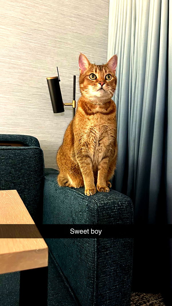 jadelynmusic image ~ Altpins