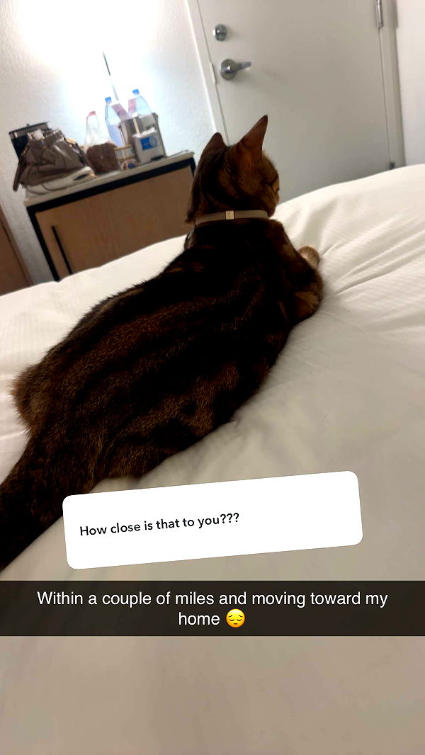 jadelynmusic image ~ Altpins