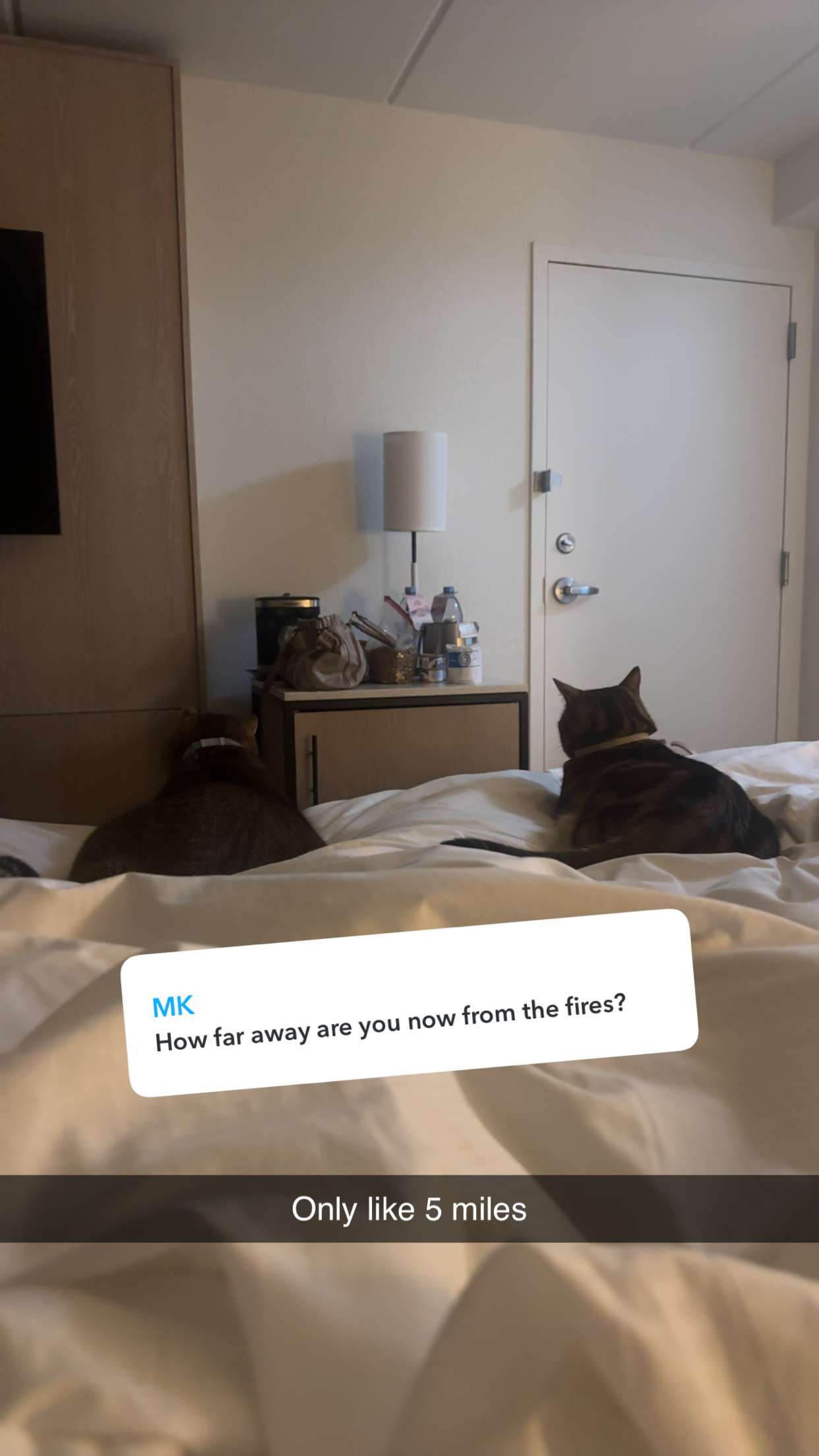 jadelynmusic snapchat image archive image