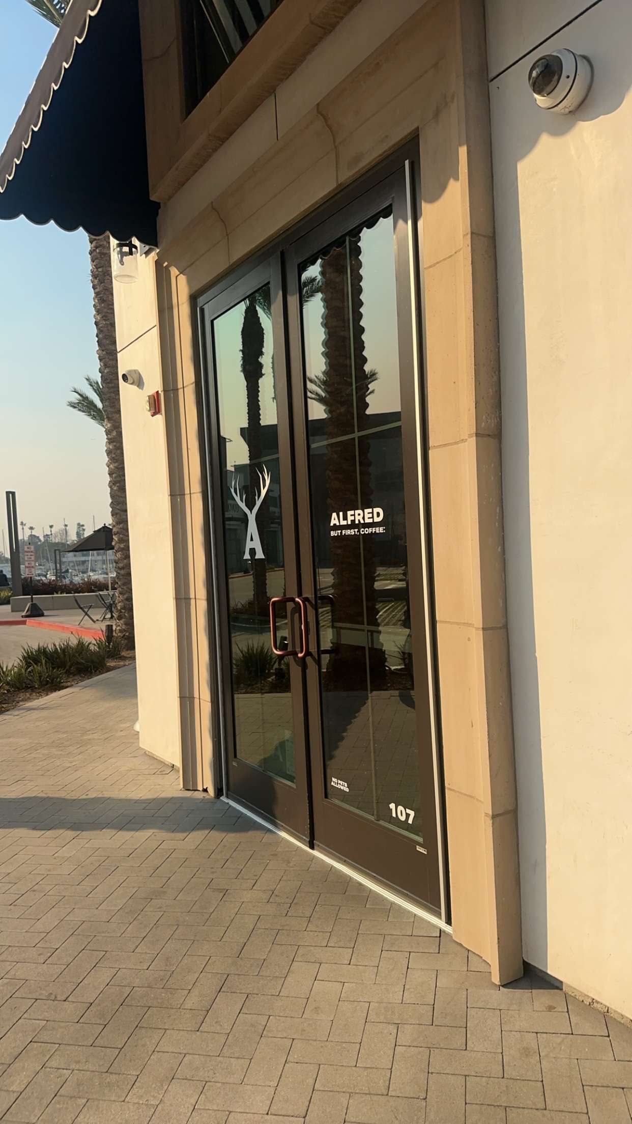 jadelynmusic snapchat image archive image