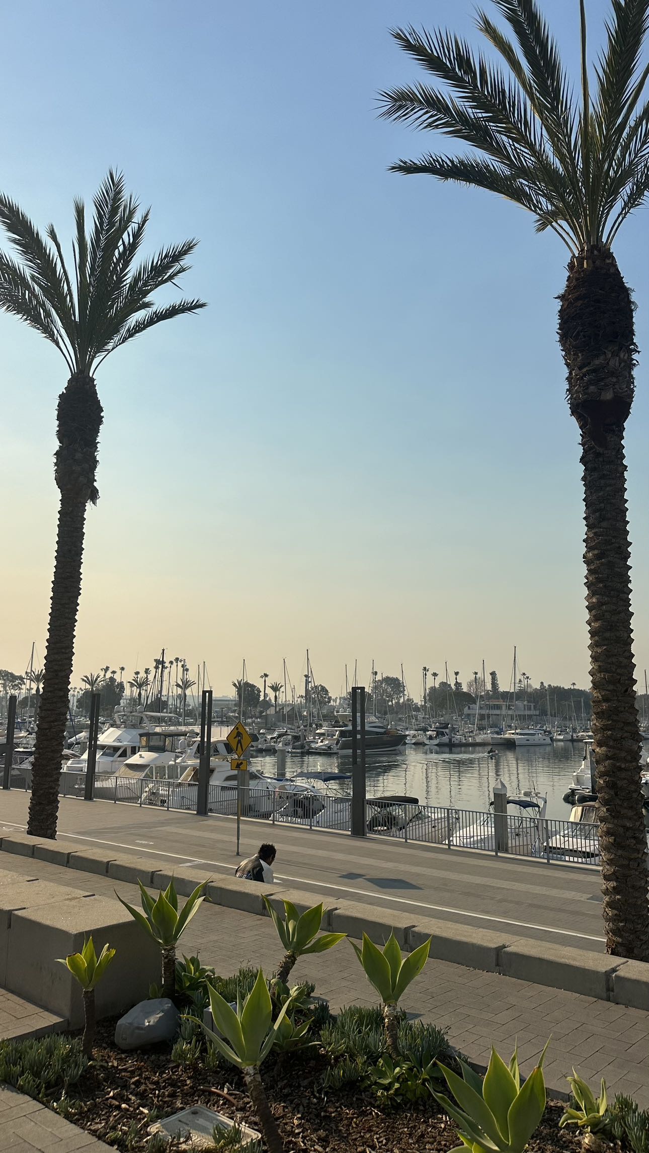 jadelynmusic snapchat image archive image