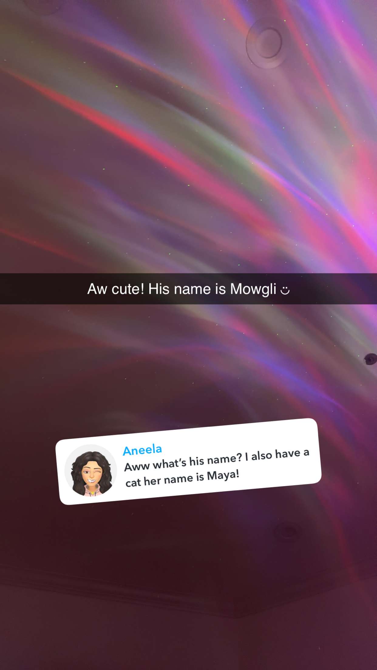 jadelynmusic snapchat image archive image