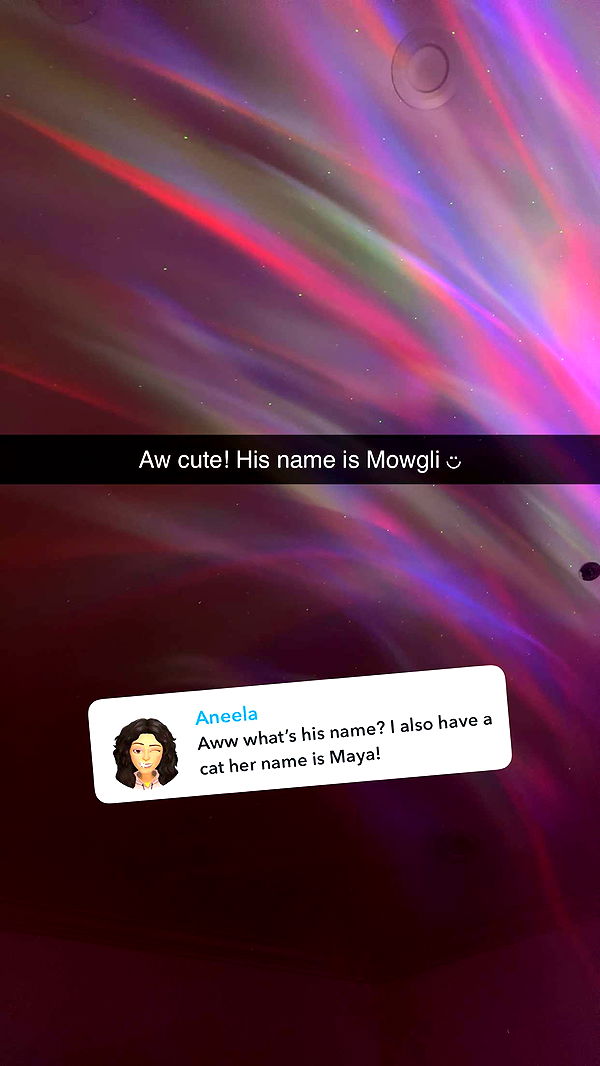 jadelynmusic image ~ Altpins