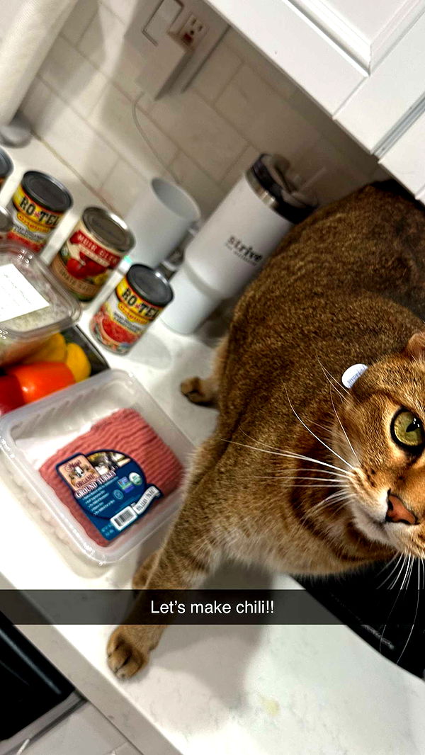 jadelynmusic image ~ Altpins