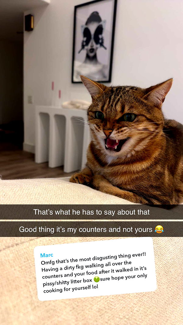 jadelynmusic image ~ Altpins